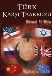 Türk Karşı Taarruzu