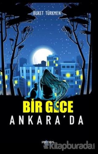 Bir Gece Ankara'da