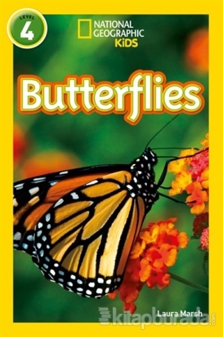 Butterflies: Level 4