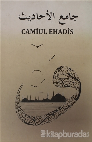 Camiul Ehadis Tercümesi 1.Cilt (Ciltli) Ziyaddin Hamurcu