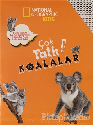 Çok Tatlı Koalalar Kolektif