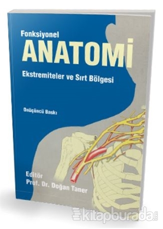 Fonksiyonel Anatomi Ekstremiteler ve Sırt Bölgesi