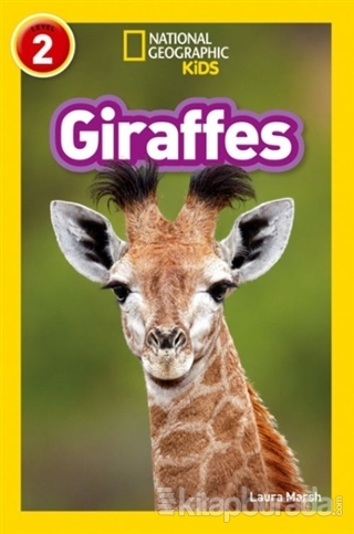 Giraffes (Readers 2)