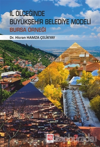 İl Ölçeğinde Büyükşehir Belediye Modeli: Bursa Örneği