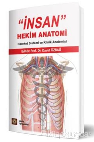 ‘'İnsan'' Hekim Anatomi Hareket Sistemi ve Klinik Anatomisi Davut Özba