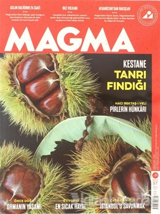 Magma Dergisi Sayı: 57 Ekim Aralık 2021 Aleksandr Kolesnikov