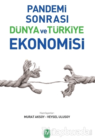 Pandemi Sonrası Dünya Ve Türkiye Ekonomisi Murat Aksoy