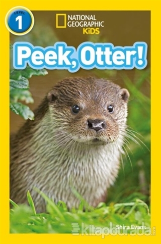 Peek,Otter! (National Geographic Readers 1) Shira Evans