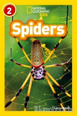 Spiders (Readers 2)