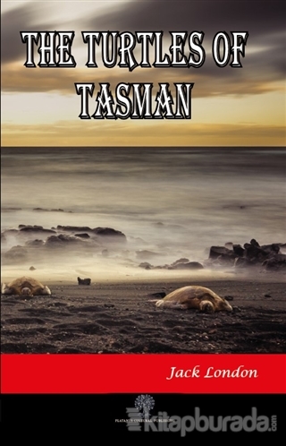 The Turtles of Tasman Jack London