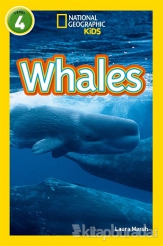 Whales: Level 4