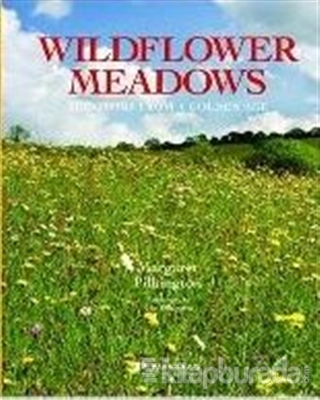 Wildflower Meadows Margaret Pilkington